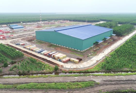 Asia Pulp and Paper (Sinarmas Group)